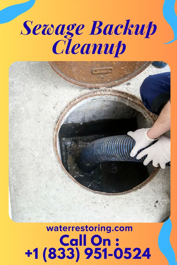 Sewage Backup Cleanup in Beersheba Springs, TN