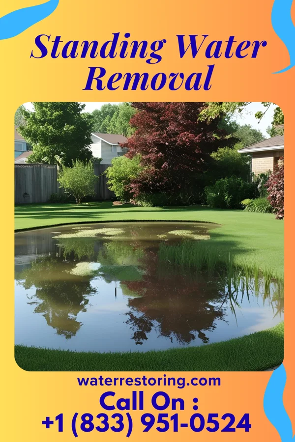 Standing Water Removal in Beersheba Springs, TN